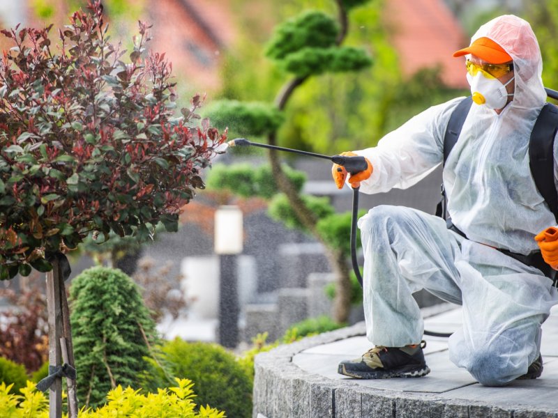 Mamak Haşere İlaçlama